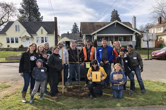 Tree Planting with Friends of Trees